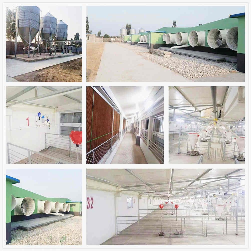 puhuivietnam5's tweet image. 🏗️ Need reliable farm structures? Puhui&apos;s steel sheds provide custom sizes, great ventilation &amp;amp; durability. Perfect for livestock &amp;amp; storage!

🔗 See designs: sdpuhui.com
📩 DM for quotes: elsa@sdpuhui.cn
#puhuiconstruction #farmbuildings #aginfrastructure