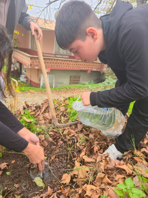 First image shows a group of schoolchildren in green uniforms and adults standing together outdoors near trees and buildings, some holding papers, on a paved path with houses in background. Second image depicts two adults and a boy in black hoodie pouring water from a bottle into a hole while planting a sapling surrounded by fallen leaves and gardening tools. Third image captures an adult man in gray jacket and two girls in green uniforms planting a sapling with water bottle nearby amid leaves and grass. Fourth image features an adult man in gray zip-up and a girl in green uniform kneeling to place a paper and plant in soil hole with leaves around.