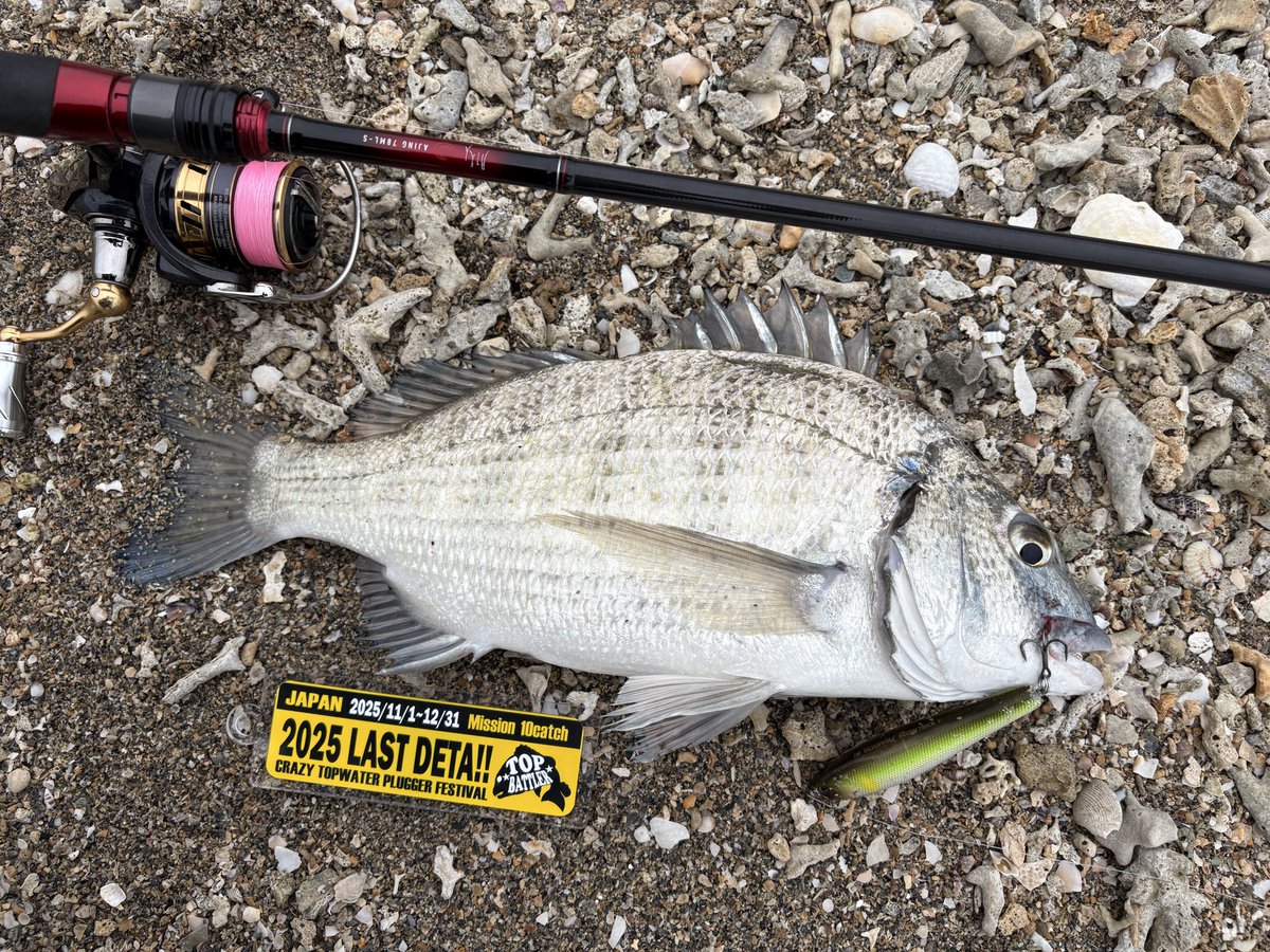 ジグザグ。 on X