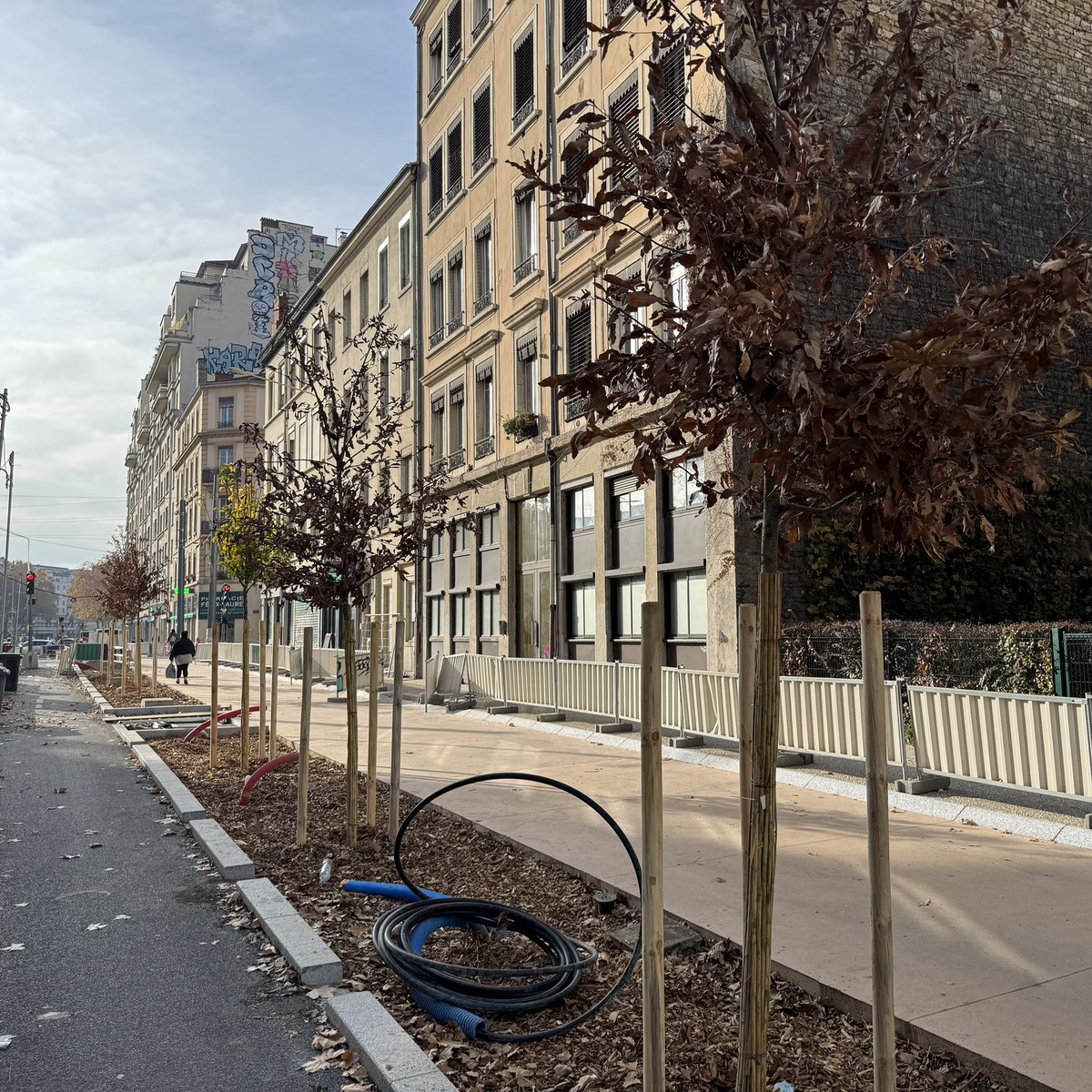 vincent_monot's tweet image. Rue Garibaldi à #Lyon, le chantier touche bientôt à sa fin et déjà de nombreux arbres sont plantés !🌳

✅156 arbres sont plantés sur cette 3e phase du projet #Garibaldi
Une rue ➖chaude, ➖bruyante et ➖polluée.
Une rue ➕agréable et sécurisée pour les riverains et les piétons.