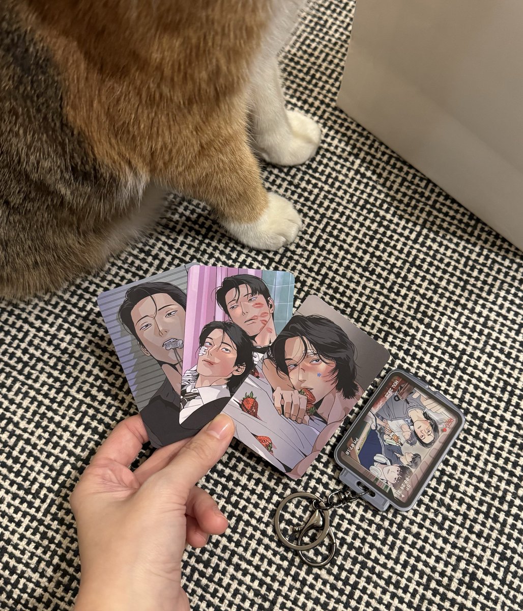 봄툰 홈파티🎂 방문하고 왔어요 초대해주셔서 감사합니다🫶 그리고 오하아사 10위에 굴하지 않은 저의 포카뽑기 성공