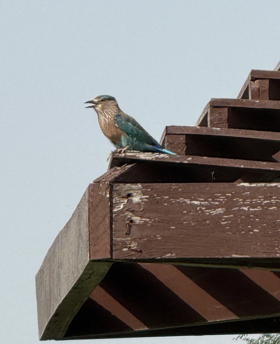 ！？！？！？！？！？！？