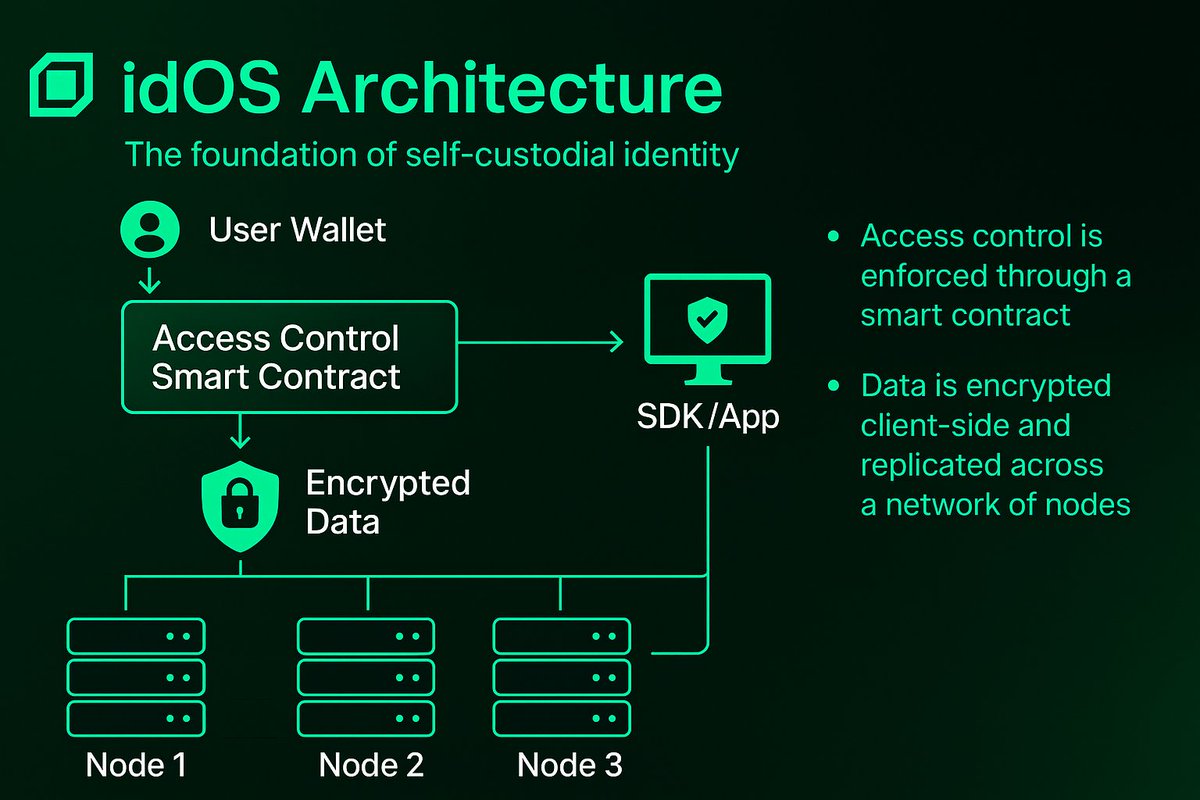 Here's what i Observed about <a href="/idOS_network/">idOS</a> Artitechture 

The idOS Consortium brings together leading blockchain ecosystems to create the decentralized identity layer of the internet.

1️⃣ Who’s in the Consortium
A coalition of major Web3 players:
Arbitrum • Circle • Ripple •