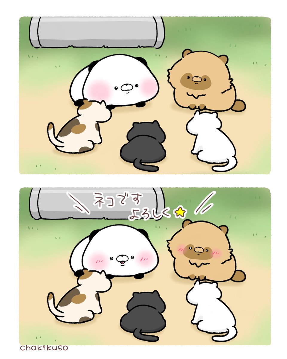 ネコ会議に参加するたぬきとパンダ