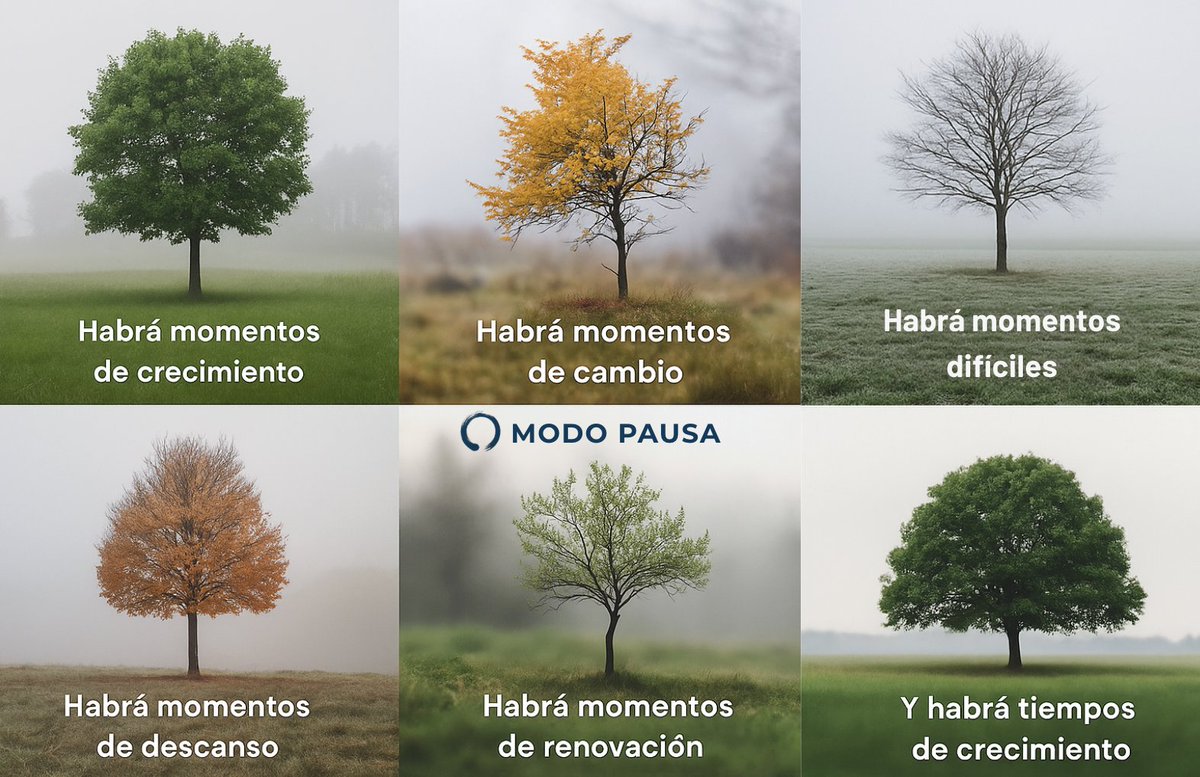 modo_pausa's tweet image. Hay días que floreces.
Y otros… solo sobrevives.
No estás mal.
Estás en otro punto del ciclo
Descansar no es retroceder
Cambiar no es fracasar
Confía
Tu ritmo también es sagrado. 🍂

#reflexión #saludmental #autoaceptación #crecimientopersonal