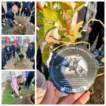 Multiple photos show groups of young children in black school uniforms digging holes and planting small tree seedlings in outdoor soil, some holding shovels and dirt, with adults supervising. Plaques and tags attached to trees feature Atatürk portrait, text like KASIM ATATÜRK ANMA and Atatürk statue on horseback, plus labels like SİLİNDİR PİNE TREE and UĞURBÖCEĞİ SINIFI. One image displays a framed black-and-white photo of a man in hat and suit, likely Atatürk, next to a tree. Background includes school buildings, flags, and autumn foliage; all elements emphasize educational planting activity.