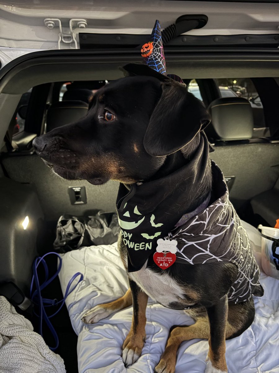 Deborah Panagos tweet media