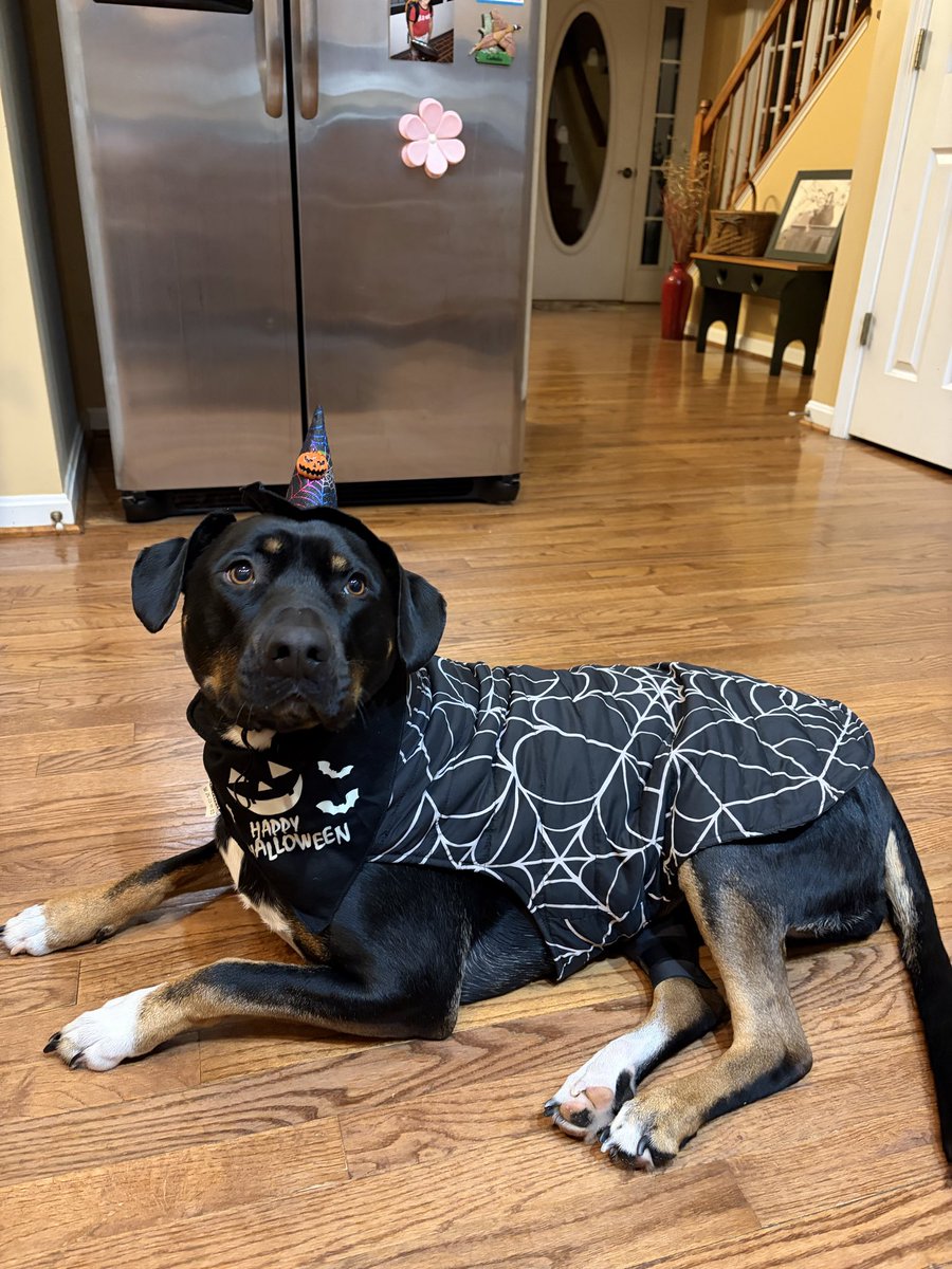 Deborah Panagos tweet media