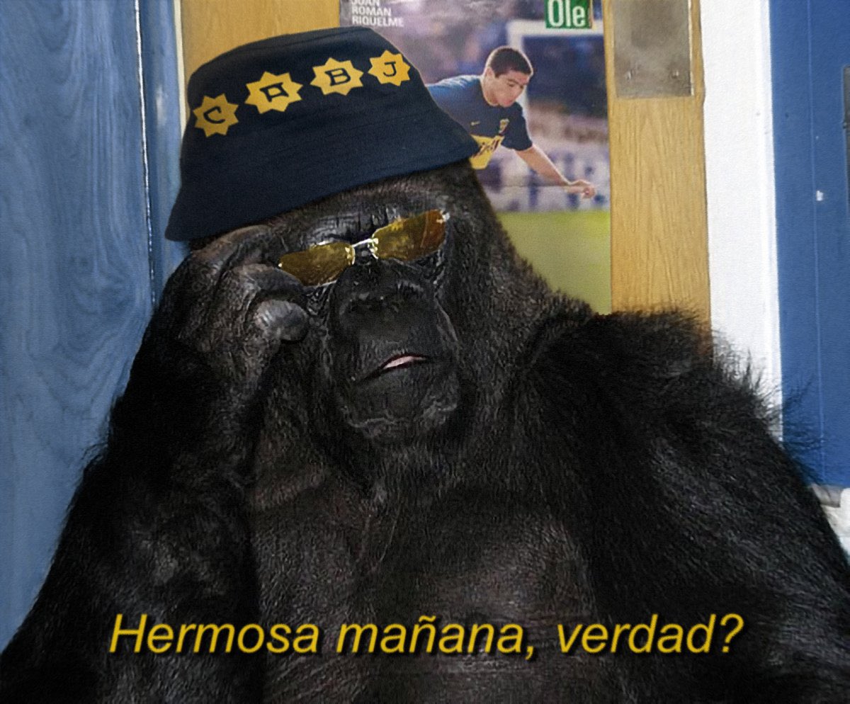 la12tuittera's tweet image. HERMOSA MAÑANA, VERDAD?