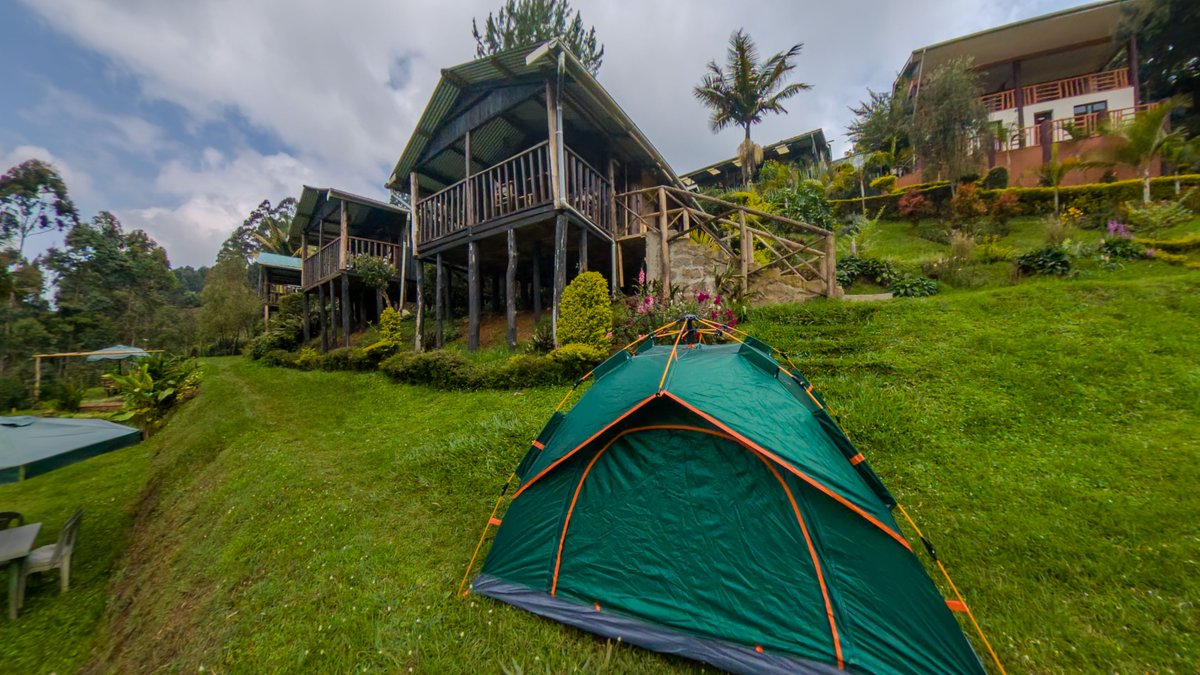 Aberdare Cottages & Fishing Lodge tweet media