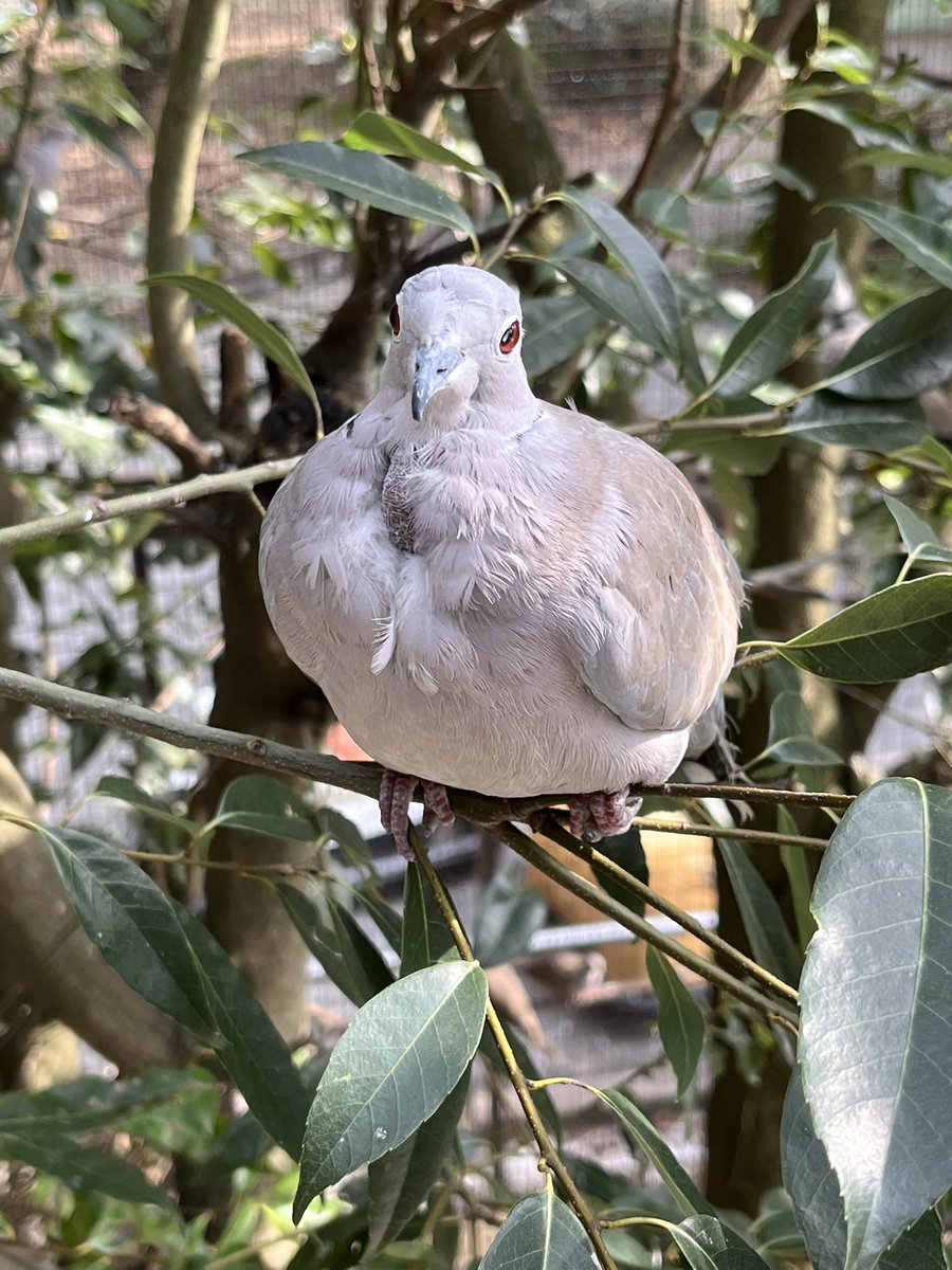 mica ミカン🍊 (@mikan427092) / Posts / X