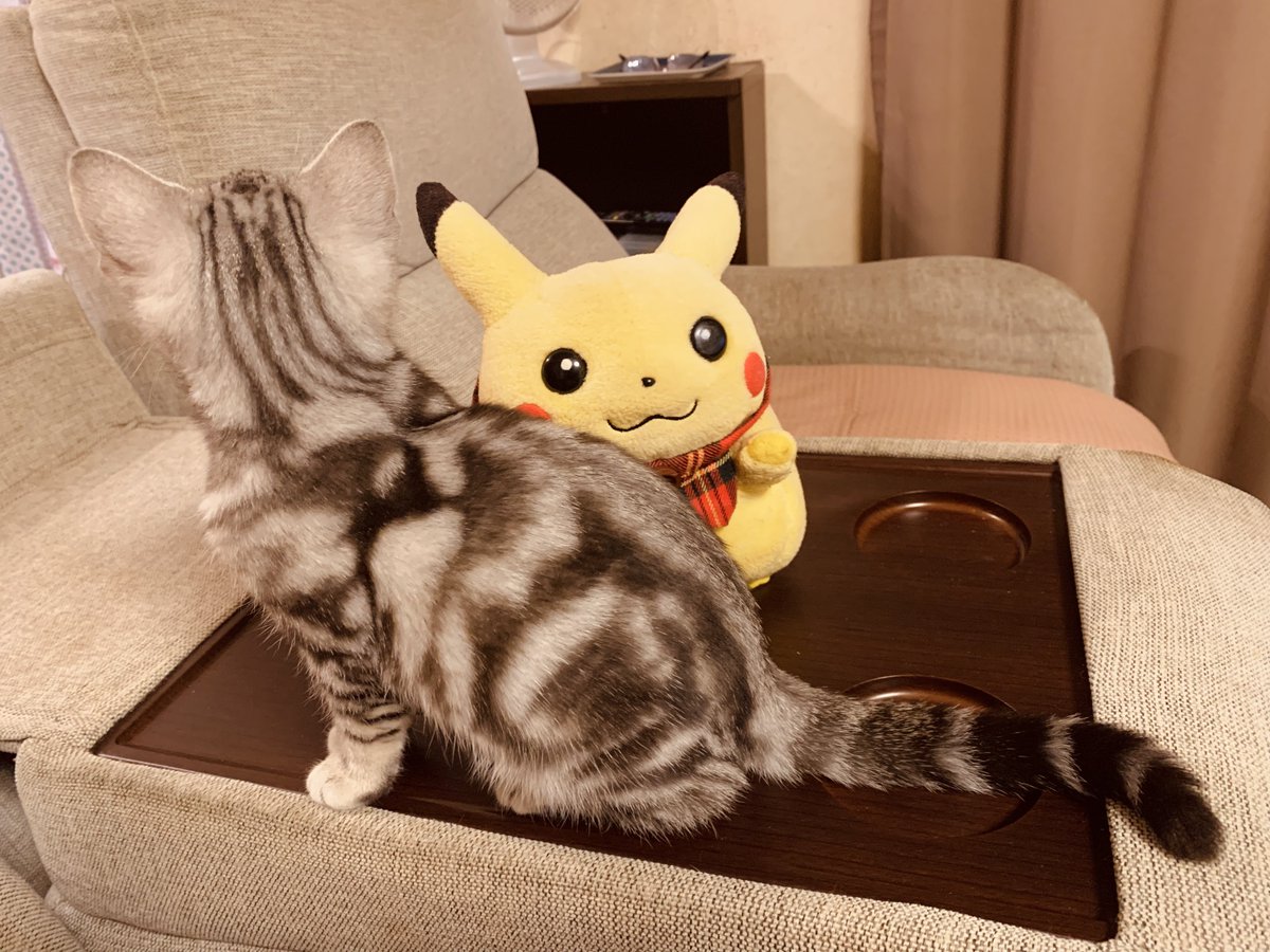 スズ (@suzu_ys9) / Posts / X