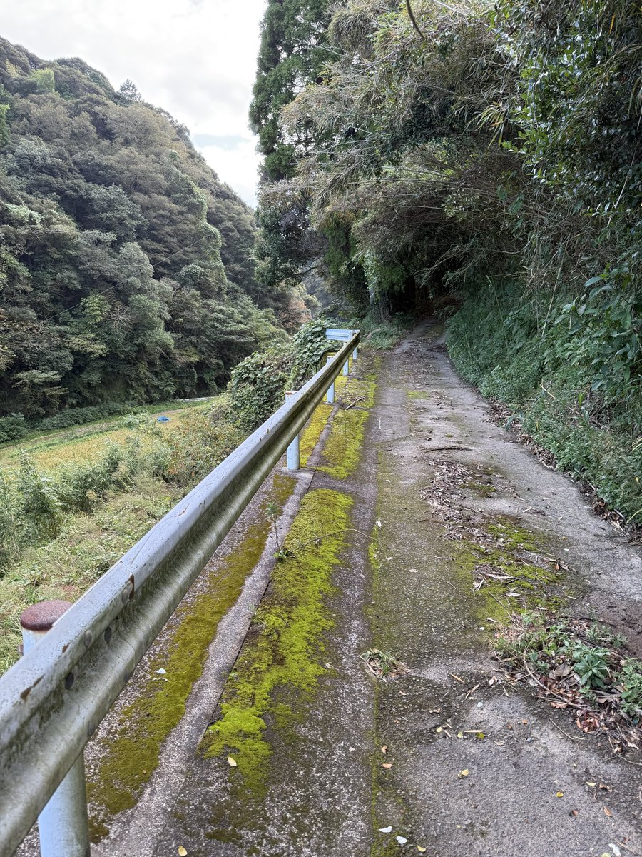 たけちゃん♪ on X