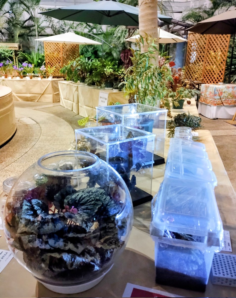 会場設営できました‼️
ぜひ見にいらしてください😊