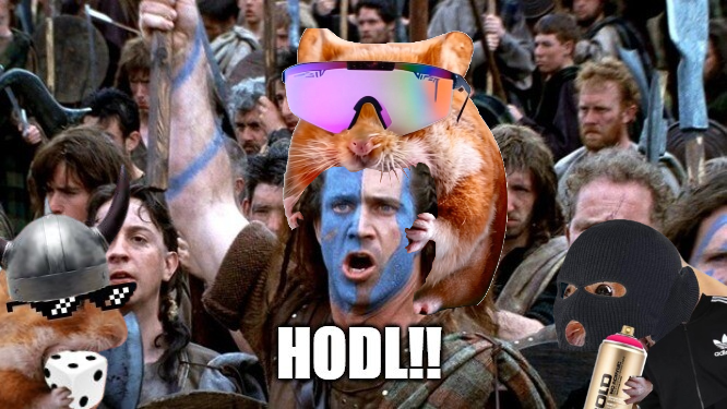 InsidurThings's tweet photo. Whether you hold or don't hold $nomnom, you can't tell me it doesn't look bullish right now, we're going higher 🐹 https://t.co/tXLdb3IU1s