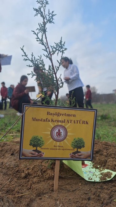 Group of students and adults in school uniforms and casual clothes stand on grassy hill holding Turkish flag and blue banner with school name Cezzar Mustafa Ersin Ortaokulu, cloudy sky and fence in background. Collage shows children in red and white uniforms planting small green sapling in soil with yellow plaque featuring trees and hands holding plant labeled Cezzar Mustafa Ersin Ortaokulu Ali, multiple angles of activity. Young tree sapling with branches in soil next to yellow plaque labeled Başöğretmen Mustafa Kemal Atatürk with tree icons and hands holding plant, children and woman in background wearing casual clothes.