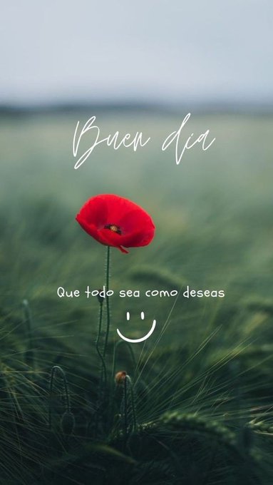 A single red poppy flower with a black center stands tall in a lush green field of grass under a pale blue sky. Overlaid white text reads Buen día at the top and Que todo sea como deseas at the bottom with two smiling emojis.