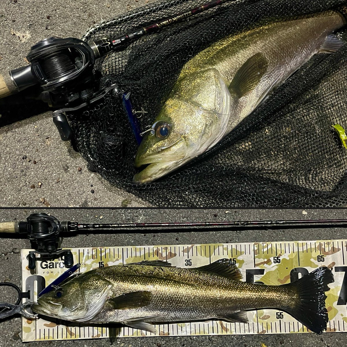 さぶろー clover】🐟 on X