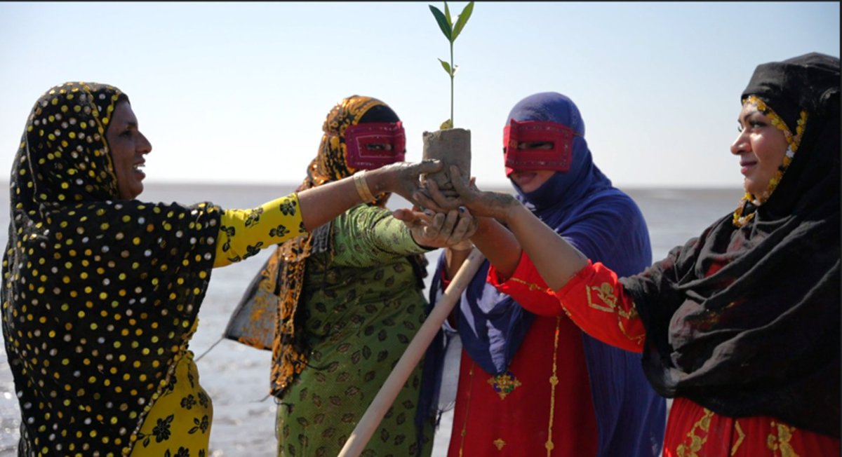 GEF_SGP's tweet image. In Tiab village of Hormozgan Province, a group of #ruralwomen is protecting and restoring the Shour–Shirin–Minab wetland, one of southern Iran’s most valuable ecosystems.

In partnership with @theGEF @UNDPIran, see how we support work #ForPeopleForPlanet: ow.ly/YSWC50XeFys