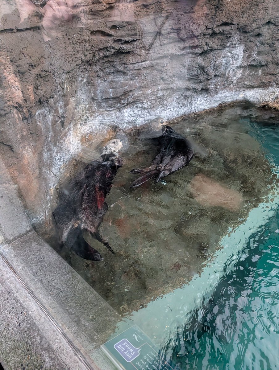 SocalStrider's tweet image. Had a blast at the Aquarium