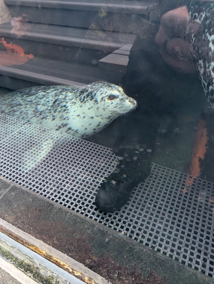 SocalStrider's tweet image. Had a blast at the Aquarium