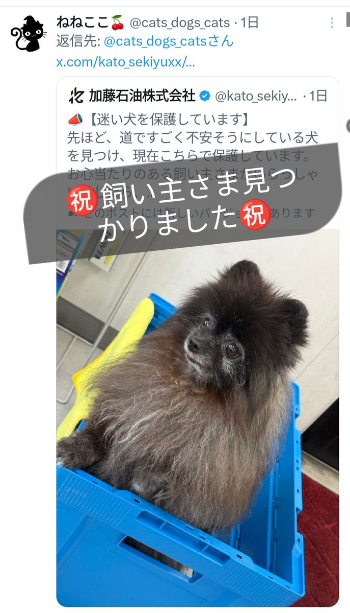 ねねここ🍒 on X