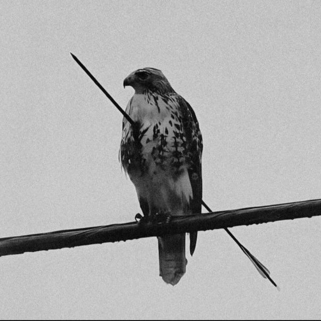 Big_g1464's tweet image. Every tweet, every message, every moment it all adds to the heartbeat of $UNBROKEN. 💫 #UNBROKENCommunity

6WUbAGBQd51XFQ3gagp3vJRsaz2Euo4PsE7uYvTLpump