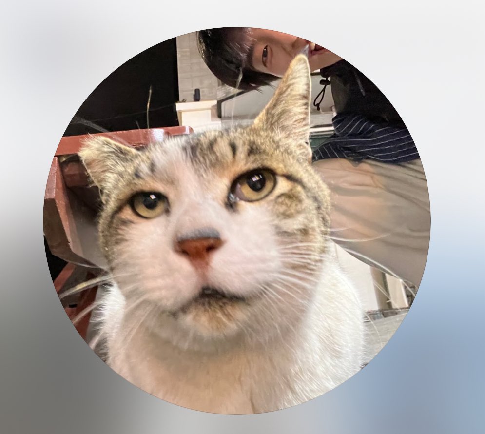 고양이 뒤에 볼 사람