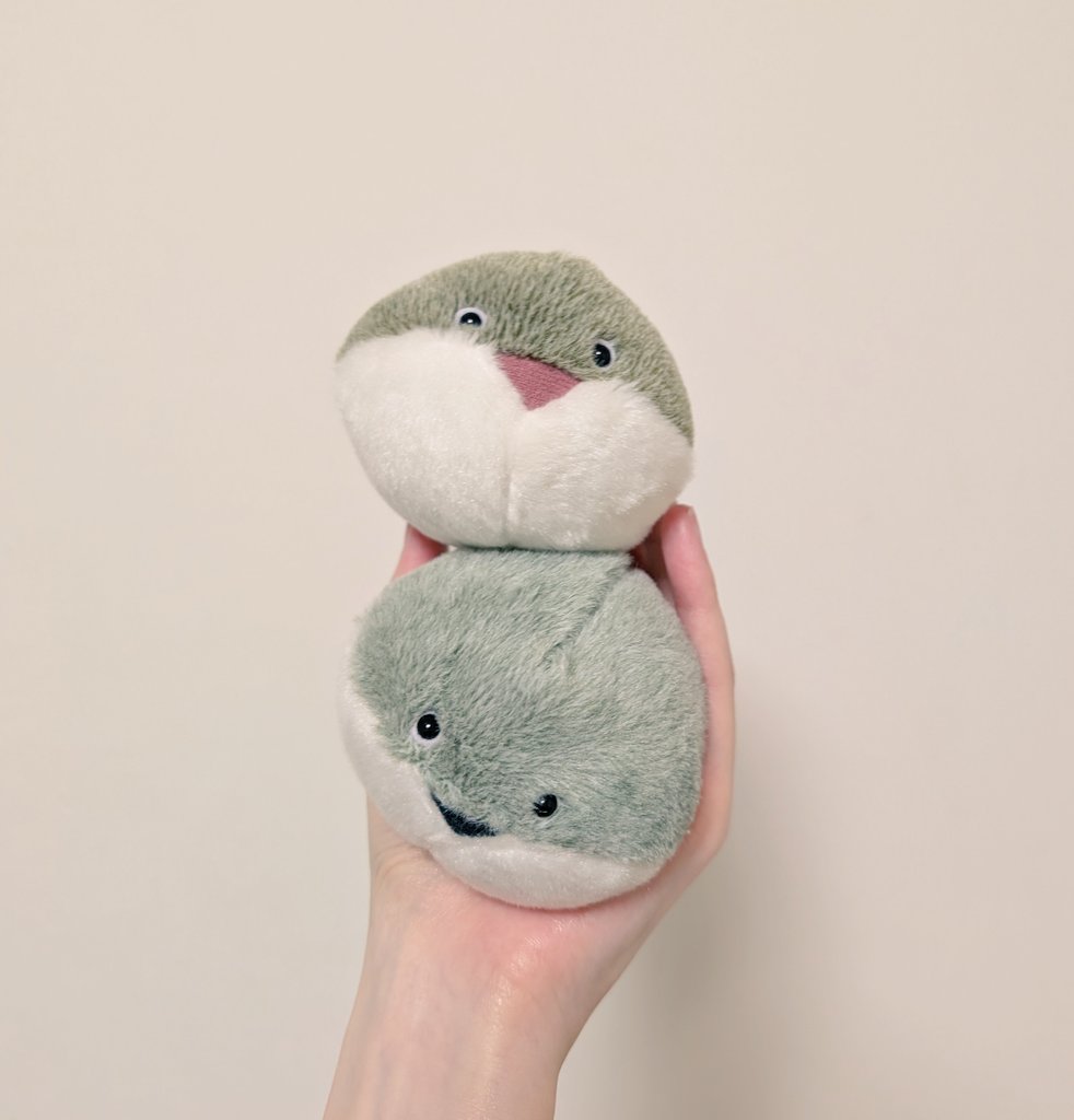 手乗りサカバンバスピス♫