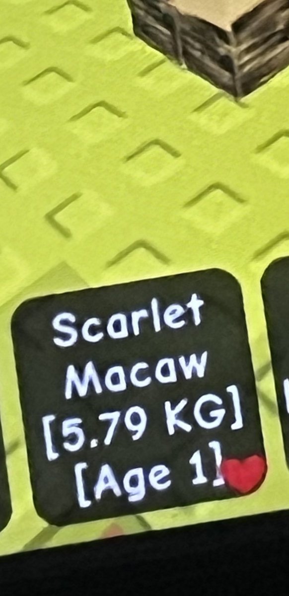 putupilo's tweet image. dari smua telur yg dpt huge malah iniiii🥹 
when yaaaa punya peacok titan godly huge😭 
mana mecahin telur nya lama bngttt lgi😔
tak apaaa masi ada 6hari lgi🙂 yuk bisa yuk