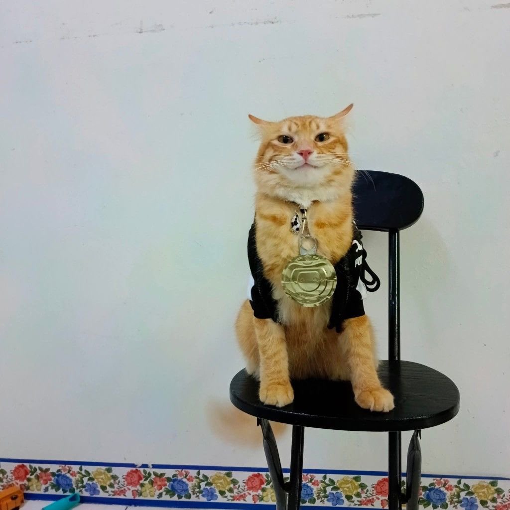 Bom dia is that tabtabitab 67 labubu tung tung tung sahur gerbert entourage media information boashan iron &amp; steel co., ltd