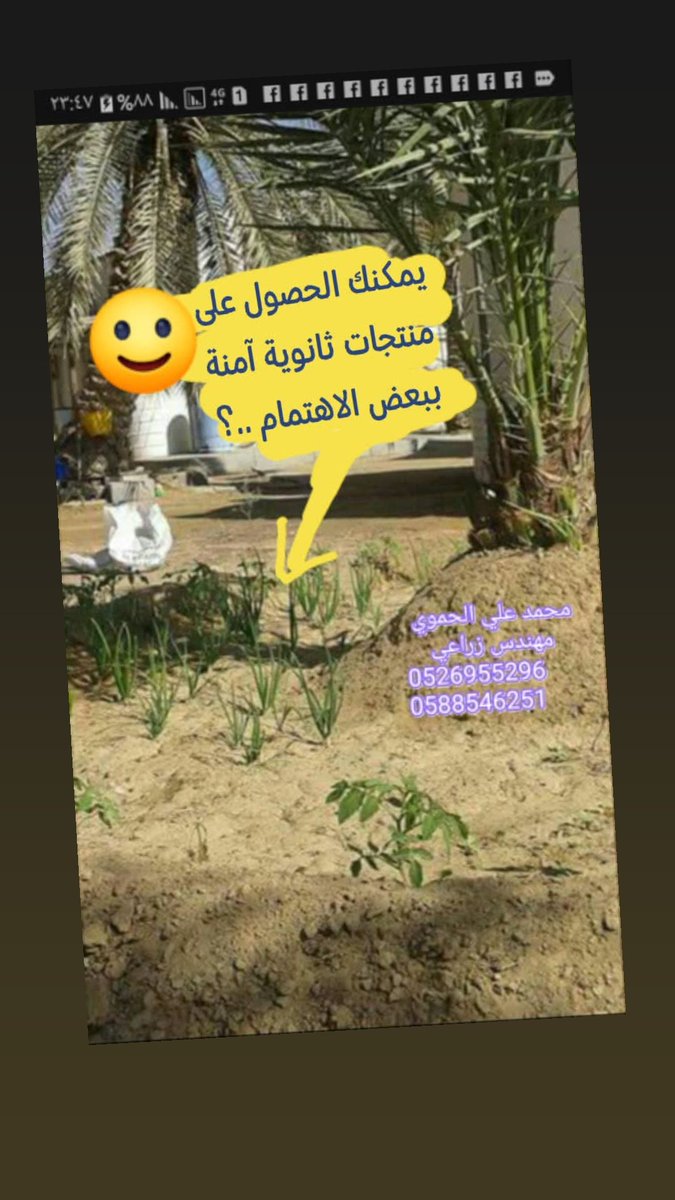 محمد علي الحموي (@ali_hamoui) on Twitter photo 