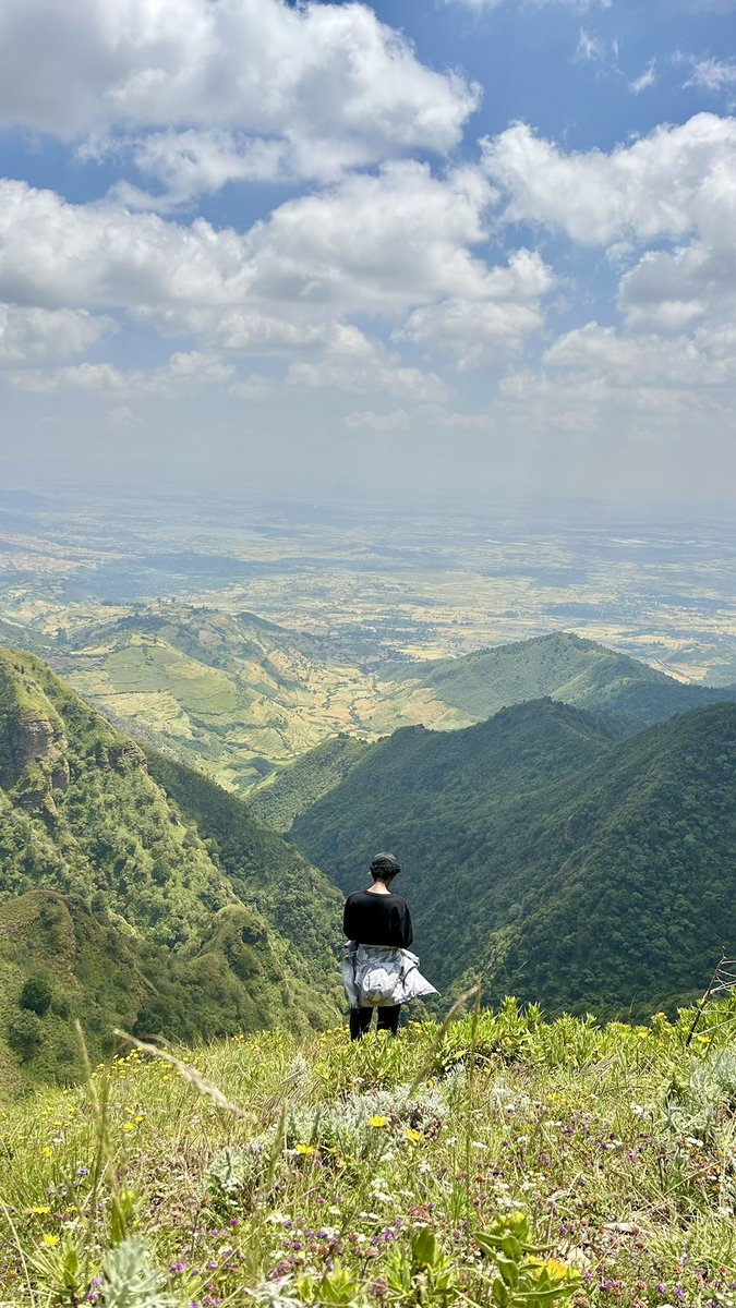 The Magnificent Erer 💚