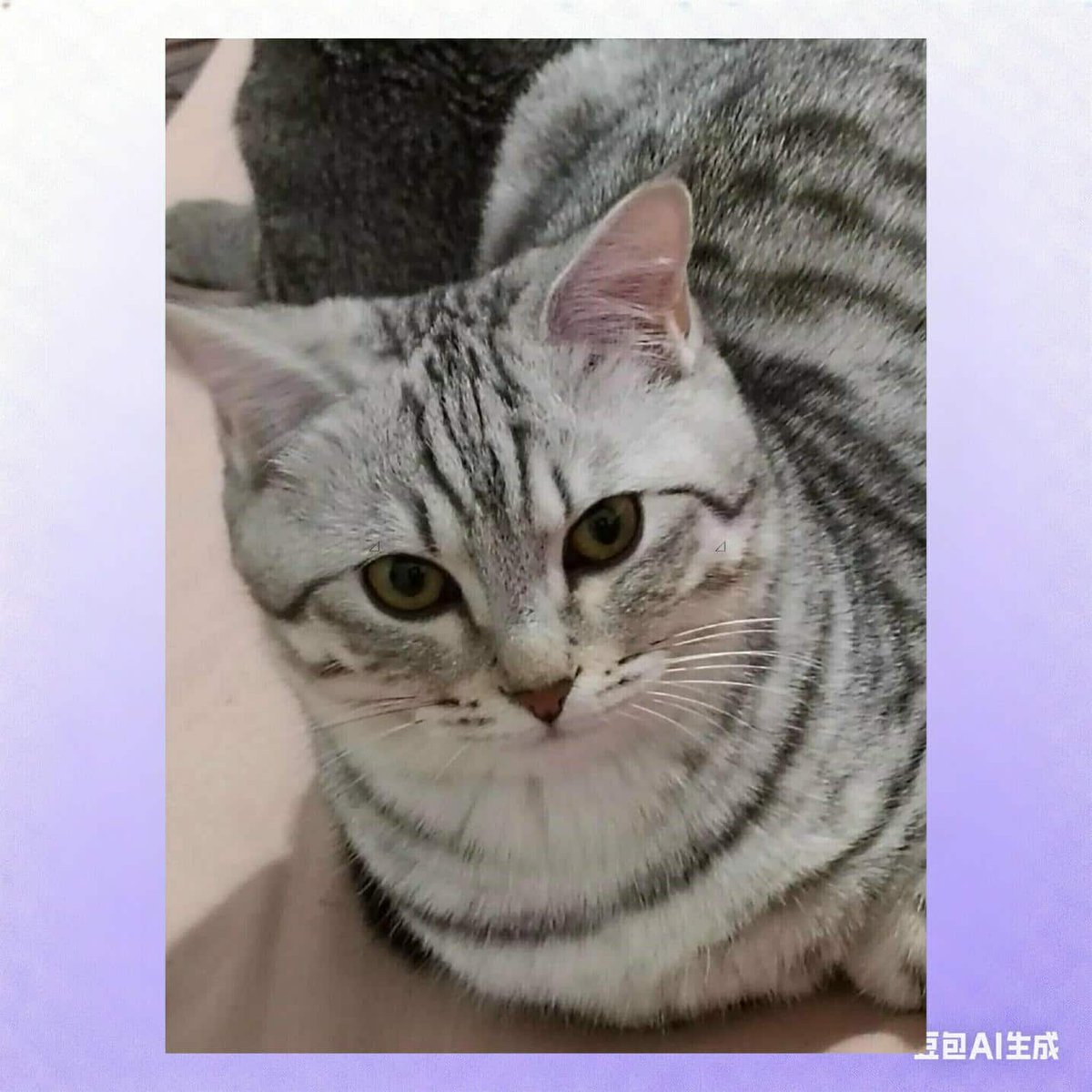 juniorcelio2's tweet image. 💌Washed clothes at home and smelled the fragrance of laundry detergent.☺Coffee, ice cubes lots