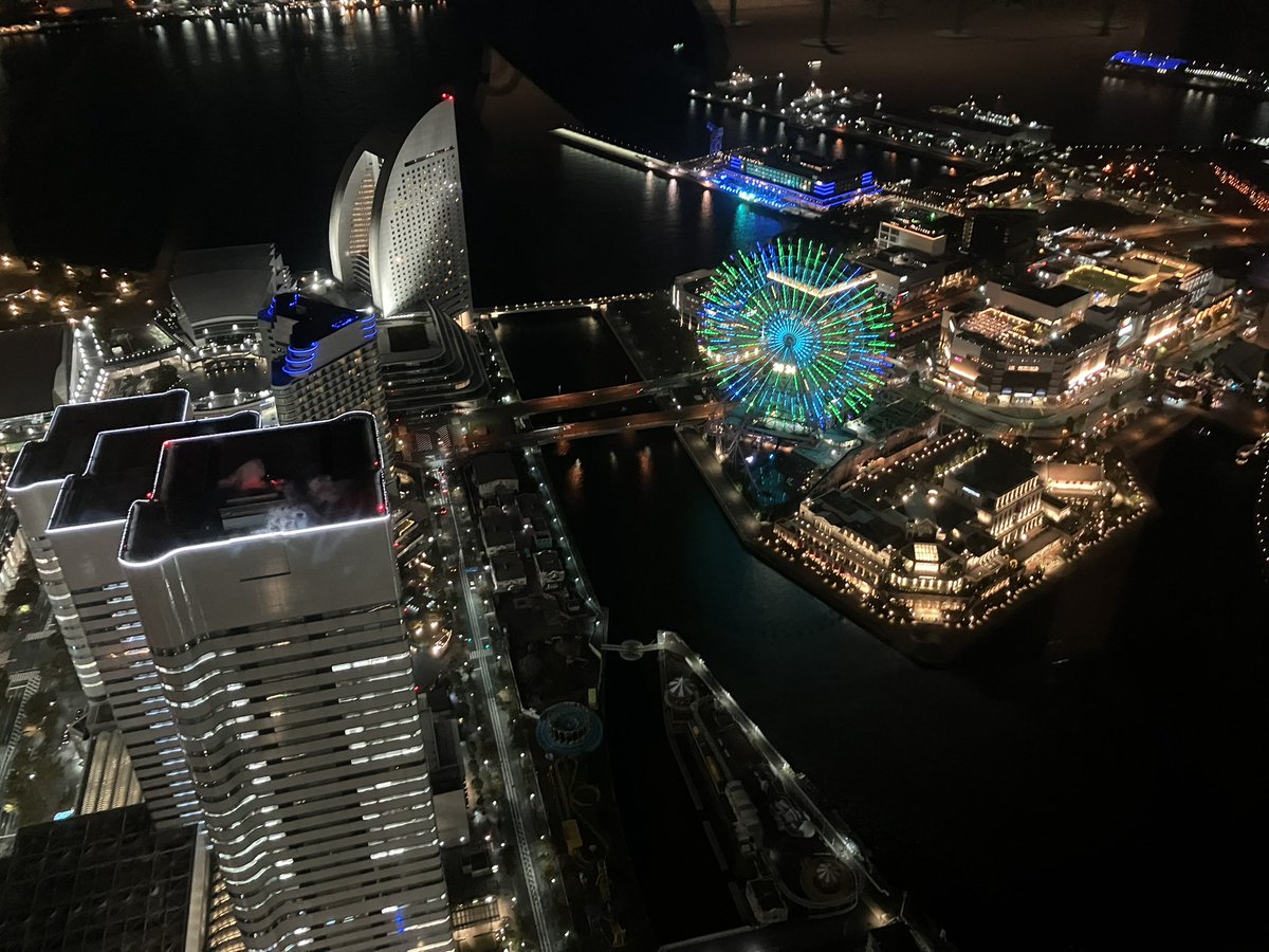 私のスマホスペック低すぎて全然綺麗に撮りきれなかったけど、夜景綺麗だったな……

田舎にはないよ！！ただ、関東平野の夜景が一望できるよ！暗いから、都会からこっちは見えないけど笑