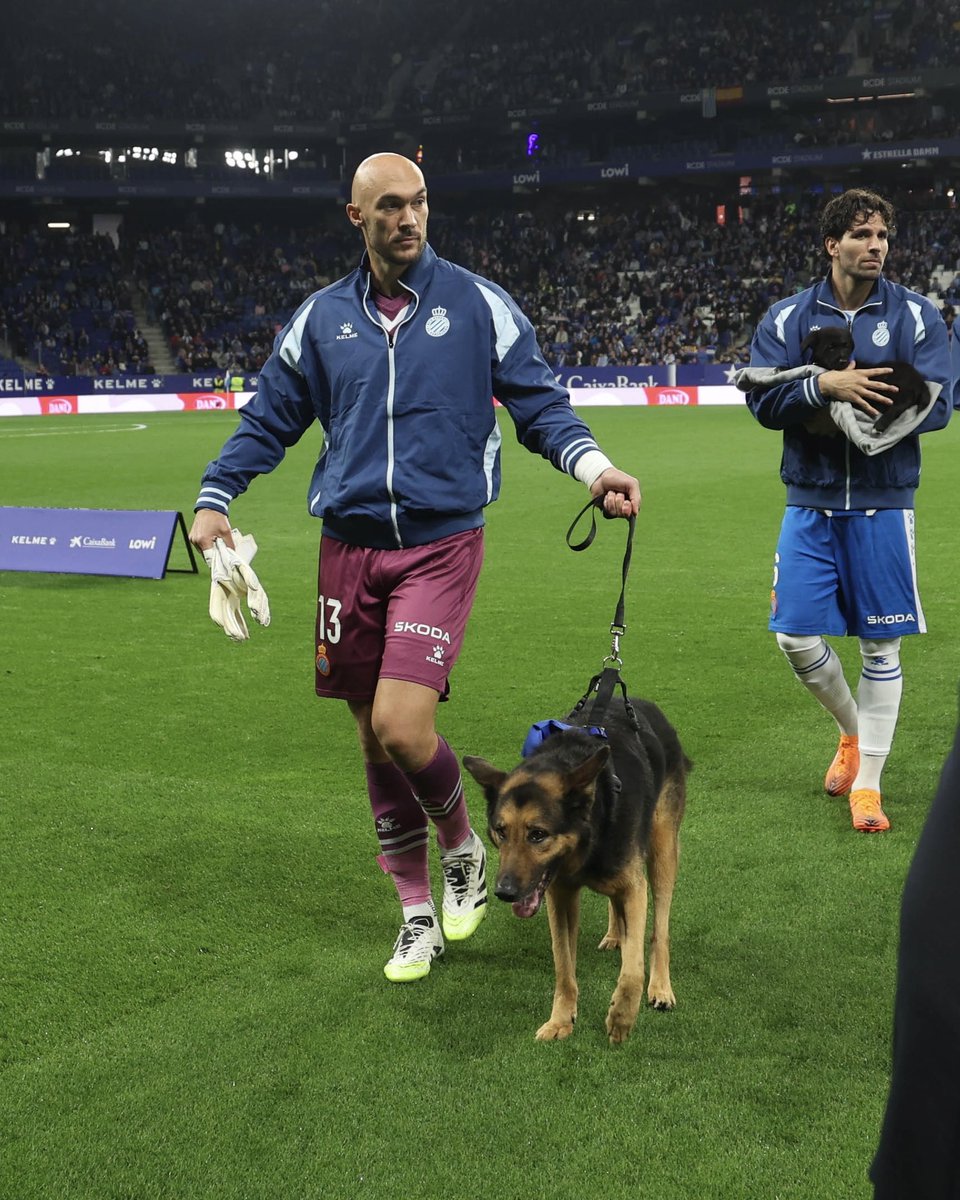 🤎 𝐀𝐃𝐎𝐏𝐓𝐀 𝐀 𝐎𝐒𝐎

ℹ️ barcelona.cat/adopta

📲 934 13 21 99

📩 adopcionscaacb@bcn.cat