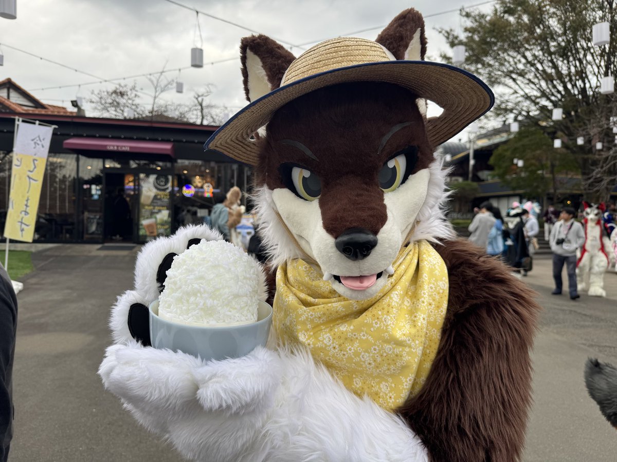 部長@人間観察部 tweet media