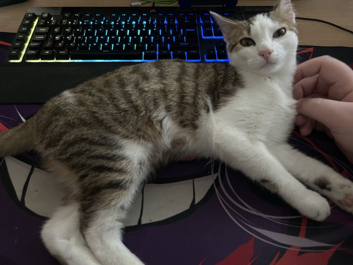 The BroZerker tweet media