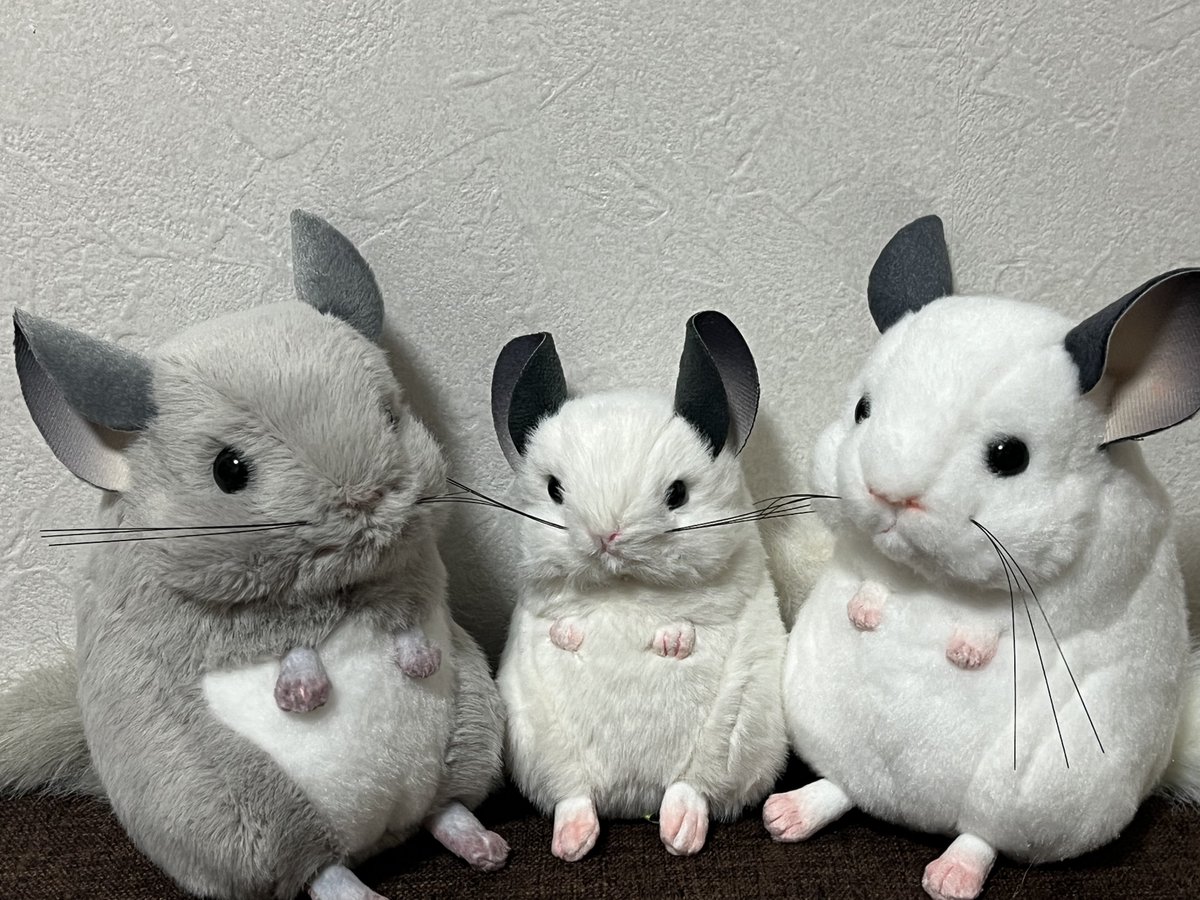 かおるん@C107 2日目東ソ-08b (@Lapin00515) / Posts / X