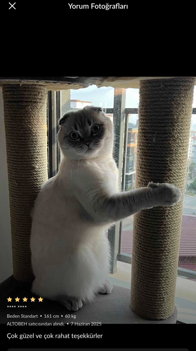 Benim gibi <a href="/Trendyol/">Trendyol</a> ile akraba olacak derecede alışveriş yapanlar toplanın başımıza gelen ilginç alışverişleri anlatalım ben başlıyorum 😀
Dün kargom geldi bir  hırka sipariş vermiştim sıfır ürün aldığımı sanırken üzerinden saç ve cebinden banka kartı çıktı 😀