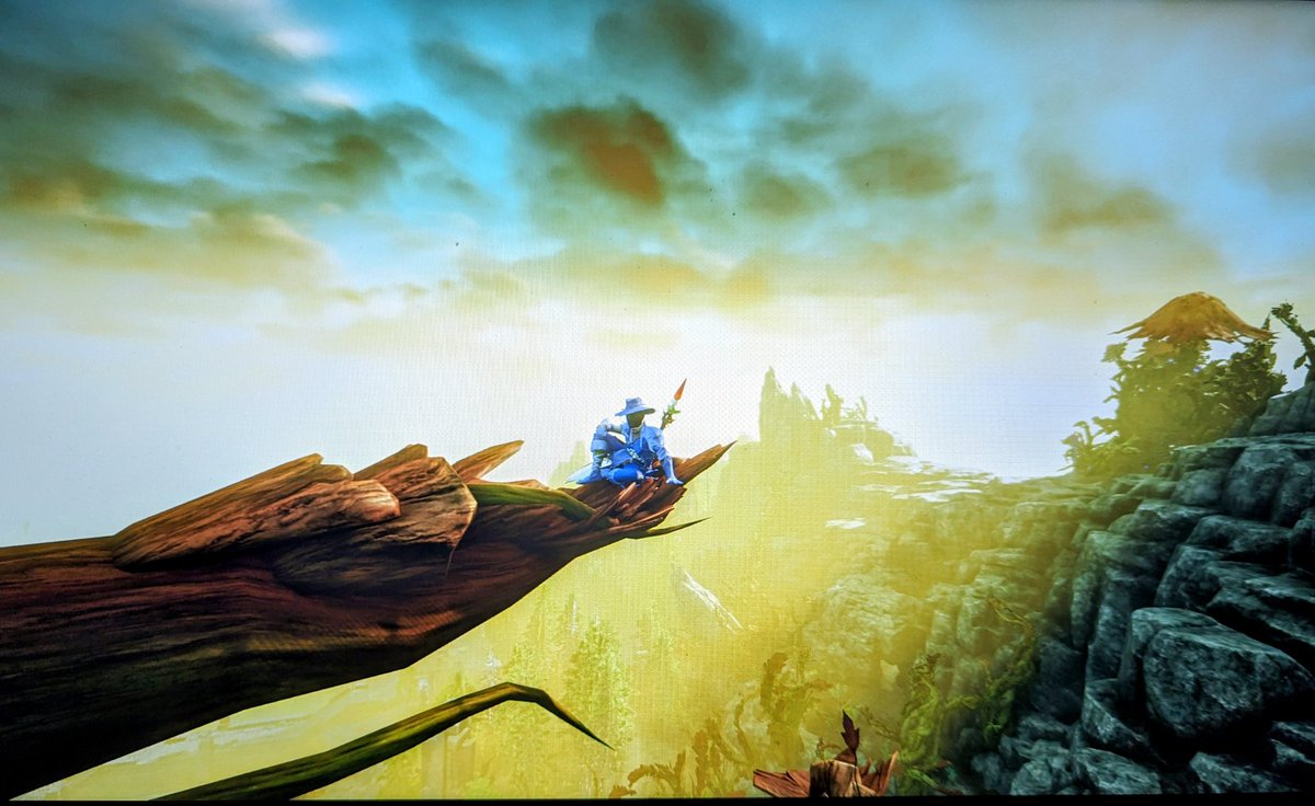 The view from Elysian Wilds at launch <a href="/playnewworld/">New World: Aeternum</a> #Valhalla #SoulSentinels #untilthefiresburnout