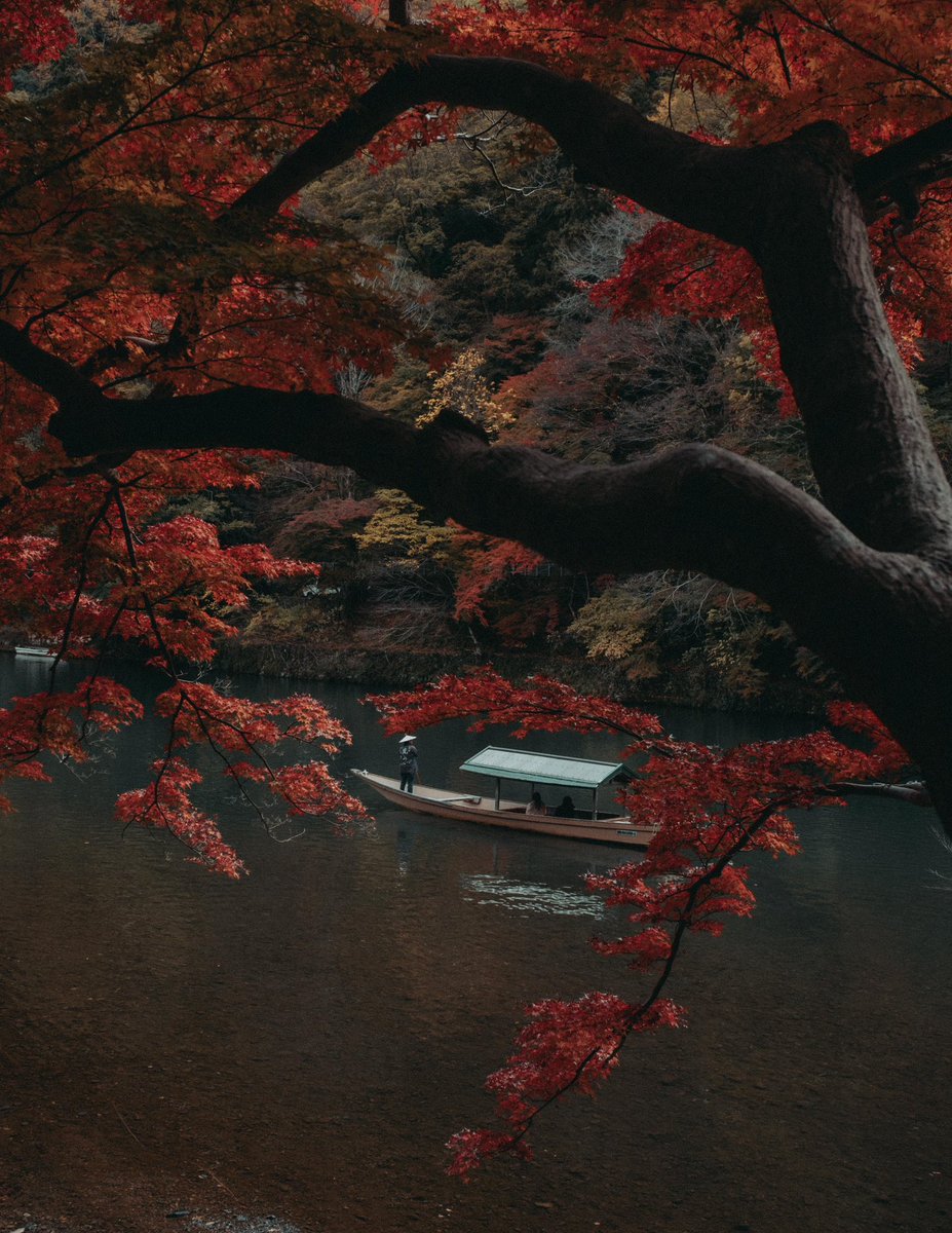 The season when Kyoto turns red