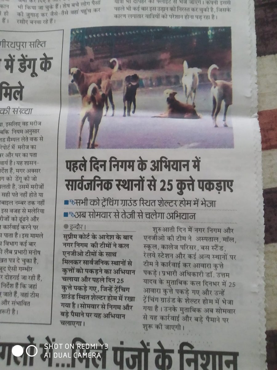 न्याय की प्रतीक्षा में कयी दुनिया से चले गये, अपराधी खुलेआम घूम रहे हैं, परंतु इन बेजुबानों पर इतना त्वरित निर्णय? #saveindiandogs #AdoptDontShop #savesoursouls #SaveHumanity <a href="/myogiadityanath/">Yogi Adityanath</a> <a href="/narendramodi/">Narendra Modi</a> <a href="/dogitization/">Dogitization</a> <a href="/TheJohnAbraham/">John Abraham</a> <a href="/asharmeet02/">Meet Ashar</a> <a href="/PetaIndia/">PETA India</a> <a href="/Manekagandhibjp/">Maneka Sanjay Gandhi</a>