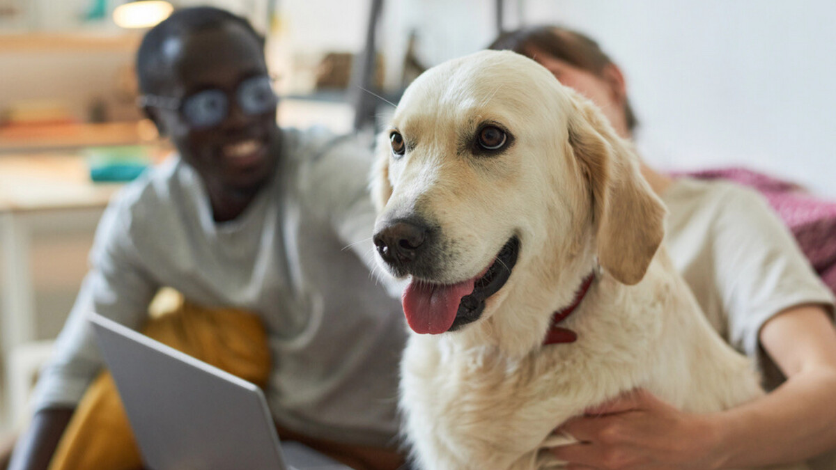 Whether you’re #MovingIn with a partner, #GettingMarried, or entering a #CivilPartnership, a #PetNuptialAgreement offers a clear, practical way to avoid future disputes and ensure your pet’s wellbeing remains a priority. jpclaw.co.uk/latest/pet-nup…