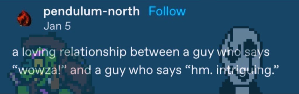 morkie! | ☻🐢 GERSTER CEO tweet media