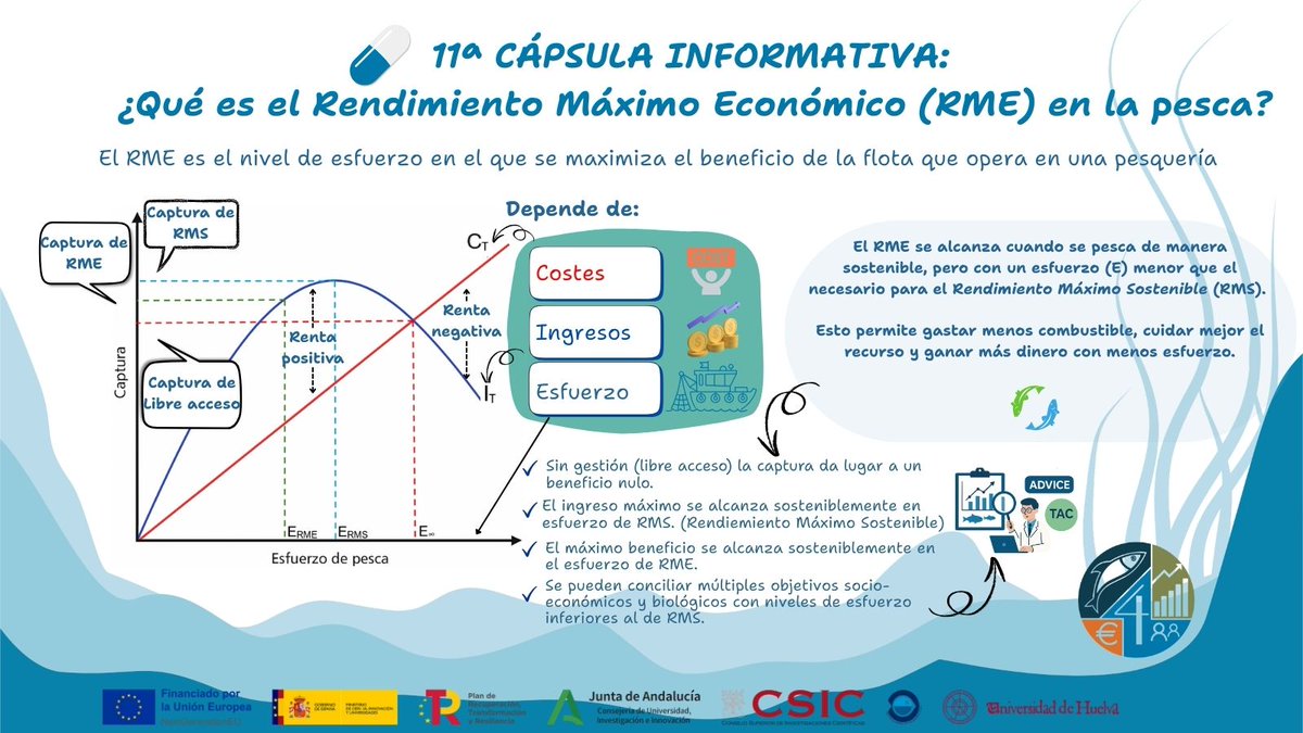 bioecon4fish's tweet photo. 💊11º cápsula informativa💊

📉¿Sabes que en la pesca existe el Rendimiento Máximo Económico (RME)?

Es el nivel de esfuerzo en el que la flota obtiene el mayor beneficio con el menor gasto.

¿Y esto qué permite?

⛽Menos combustible
🐟Más cuidado del recurso
💰Más rentabilidad https://t.co/KAMJOhxGVe