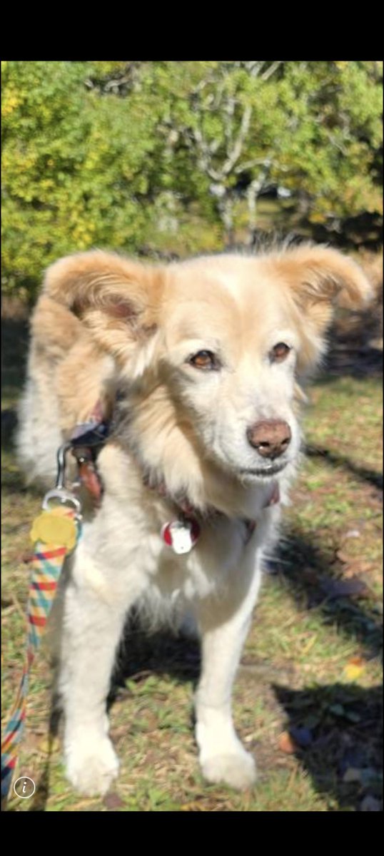 おさんぽ通信
ふわふわ