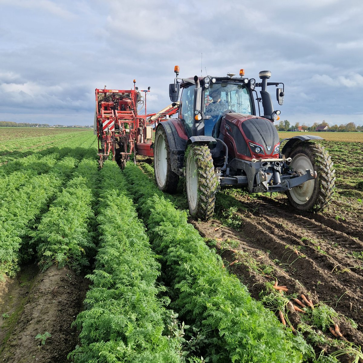 kramerstart's tweet image. Mooie planter van JJ BROCH afgeleverd. En volop nieuwe 𝐳𝐚𝐚𝐢𝐦𝐚𝐜𝐡𝐢𝐧𝐞𝐬 aan het klaarmaken voor het nieuwe seizoen. En tegelijkertijd zijn de wortelrooiers van 𝐒𝐢𝐦𝐨𝐧 in actie 💪🏻
