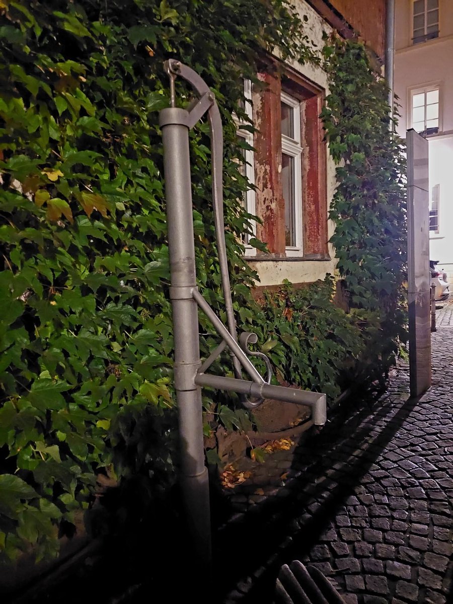 Hallo meine lieben,unsere wilde Harley ist derzeit nachts am liebsten draußen. Dafür bleiben Emma und Pussy bei uns auf dem Bett. 
Ich wünsche euch einen angenehmen Montag 😘