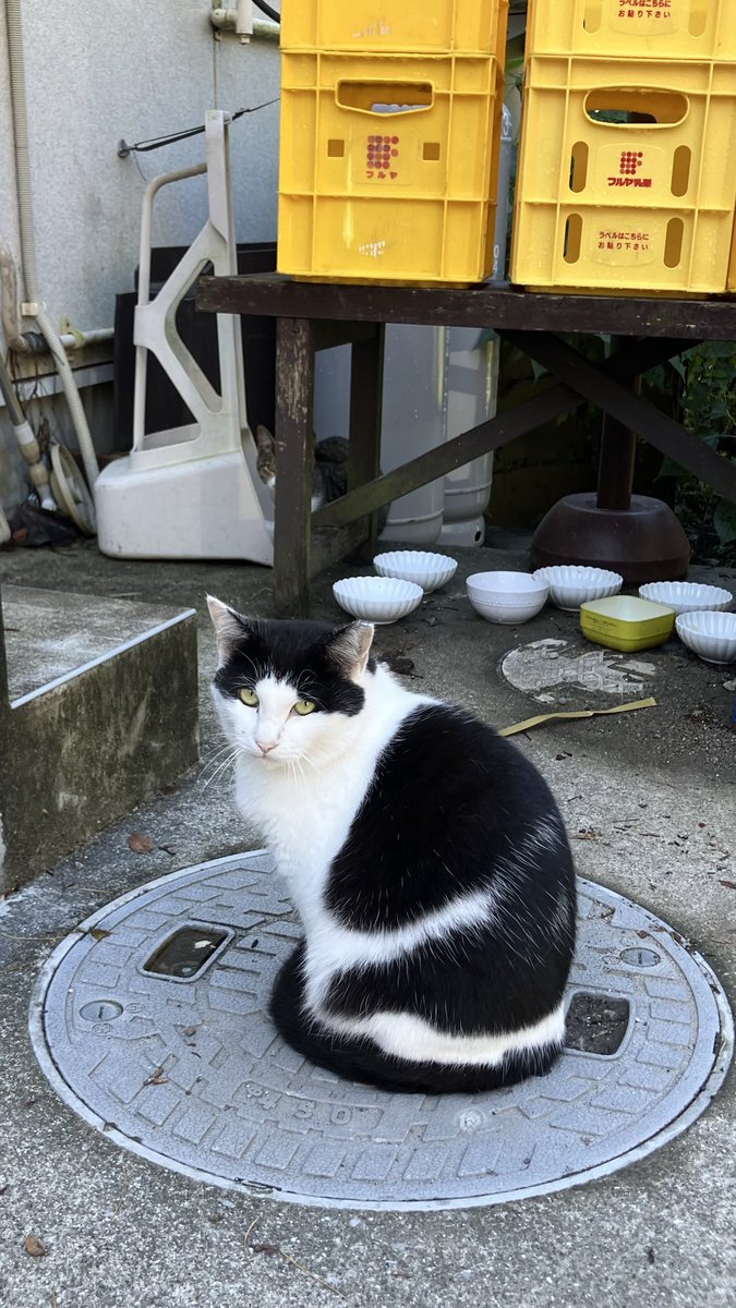 紅葉にはまだ少し早い養老渓谷を散策してきた
千葉県はTDRと成田空港と幕張メッセ以外は未知の世界で新鮮🍀
何よりNO🐻県という安心感✨
